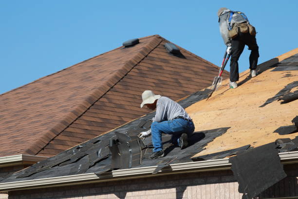 Best Roof Installation  in Saranac, MI