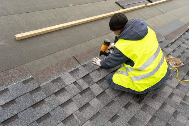 Best Roof Moss and Algae Removal  in Saranac, MI