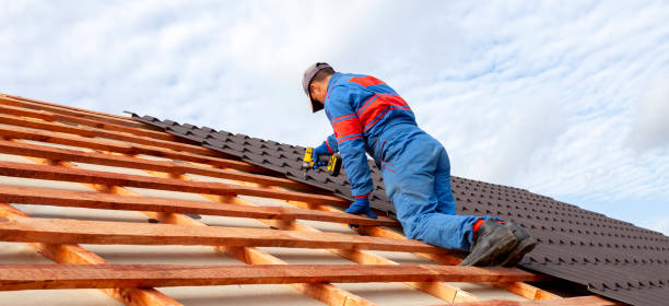Best Cold Roofs  in Saranac, MI