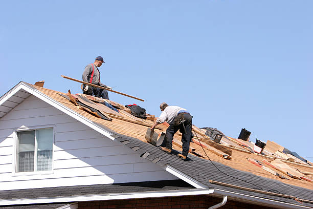 Best Asphalt Shingle Roofing  in Saranac, MI